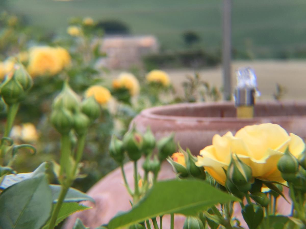 산 마르첼로 Girasole 아파트 외부 사진